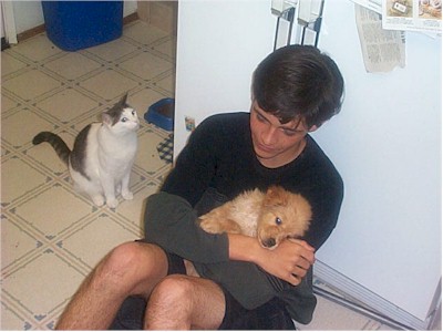 Snickers, Matt, and Bayley